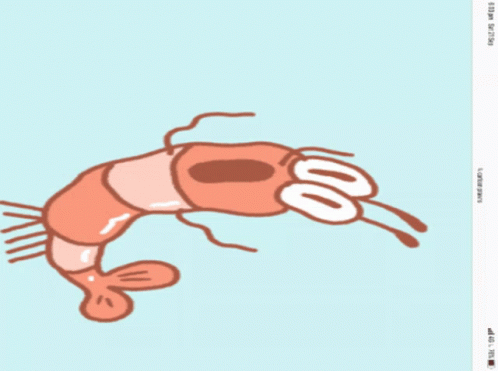 Party Shrimp GIF - Party Shrimp Funny Shrimp GIFs