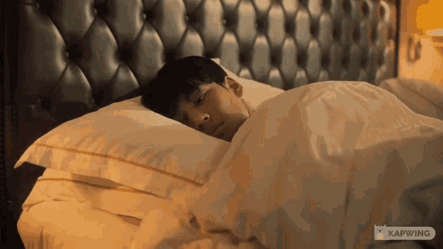 Porsche Sleep GIF