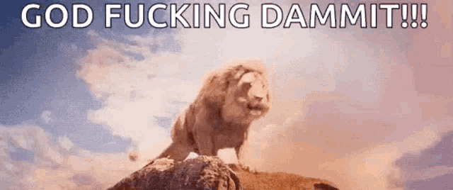 a lion is standing on top of a rock with the words `` god fucking dammit '' written on it .