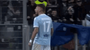 a soccer player wearing a number 17 jersey is standing in front of a crowd on a field .
