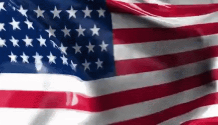 Primary Day Election Day GIF - Primary Day Election Day 4th Of July GIFs