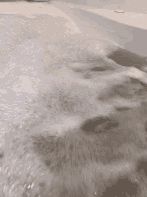 a close up of a body of water with foam
