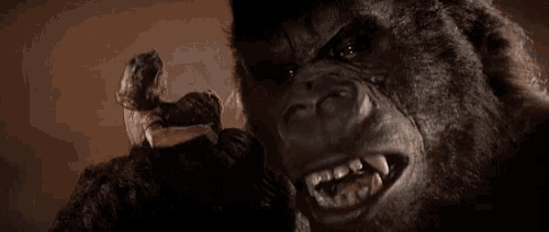 a close up of a gorilla 's face with a woman standing next to it in a dark room .