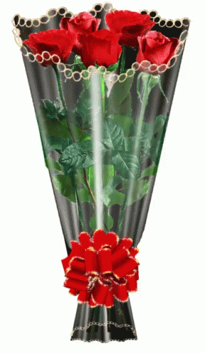 Red Roses GIF - Red Roses Bouquet GIFs
