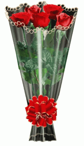 a bouquet of red roses is wrapped in a black curtain