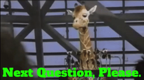 Toys R Us Geoffrey The Giraffe GIF - Toys R Us Geoffrey The Giraffe Next Question Please GIFs
