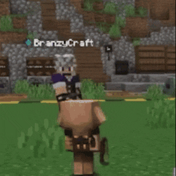 a man and a pig are standing in a field in a minecraft video game .