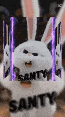 a rabbit with the word sanity written on it