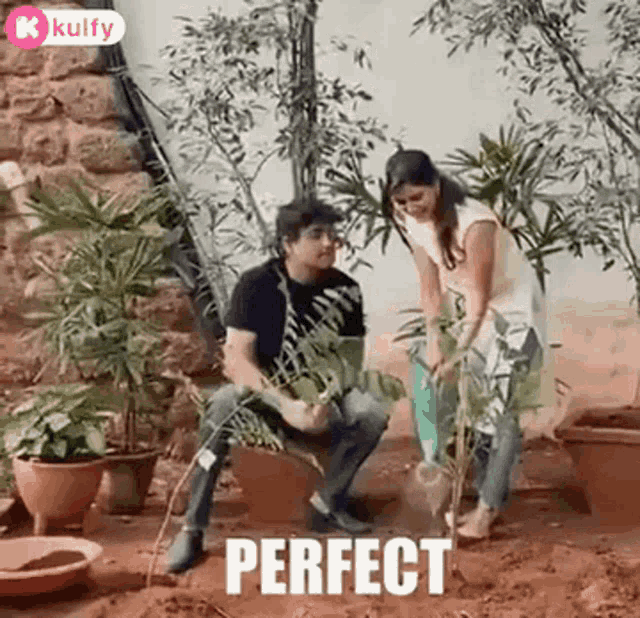 a man and a woman are planting a tree in the dirt .
