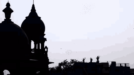 a silhouette of a building with birds flying in the sky