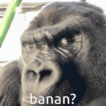 Gorilla Banana GIF - Gorilla Banana GIFs