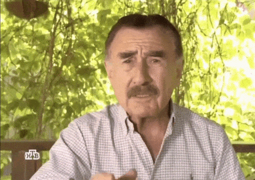 a man with a mustache is wearing a plaid shirt and has the letters hab on his chest