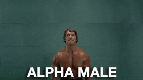 Alpha Male GIF - Alpha Male GIFs