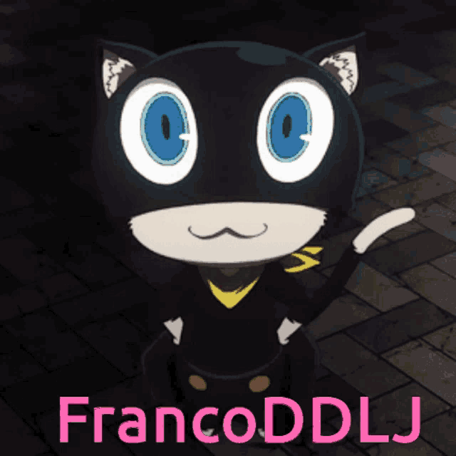 a black cat with blue eyes and the name francoddlj on the bottom