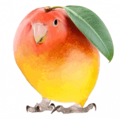 a bird shaped like an apple with a leaf on its head