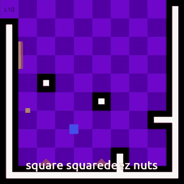 a purple checkered background with square squaredeez nuts written on the bottom