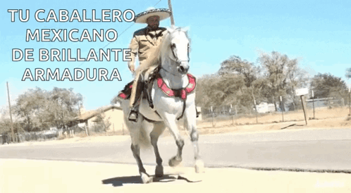 Horse Charro GIF - Horse Charro Cowboy GIFs
