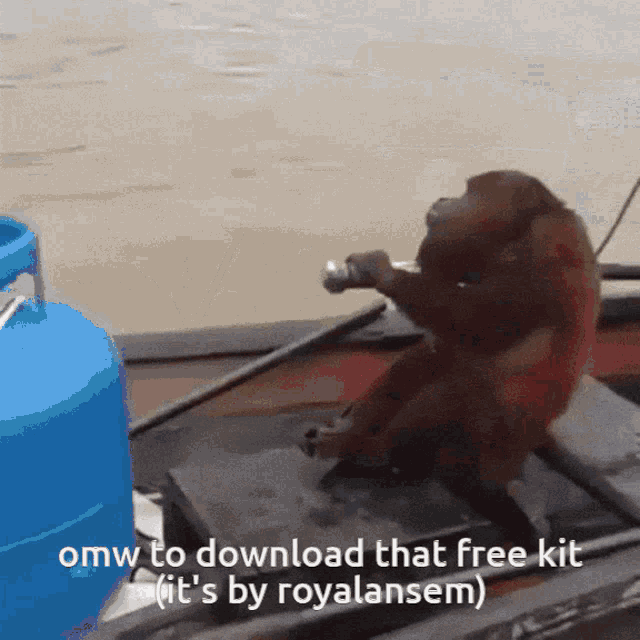 Omw To Download That Free Kit Its By Royalansem Boat GIF - Omw To Download That Free Kit Its By Royalansem Boat Monkey GIFs