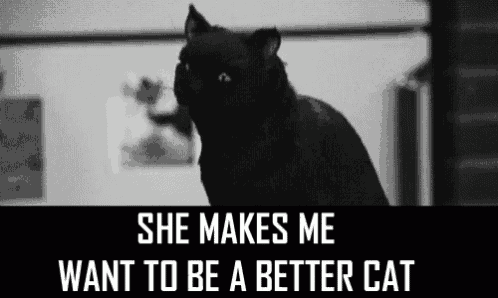 a black cat with the words she makes me want to be a better cat