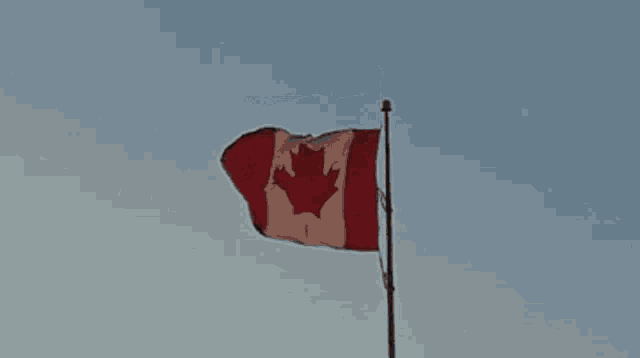a canadian flag is waving in the wind