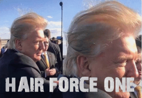Trump Donald Trump GIF - Trump Donald Trump Hair Force One GIFs