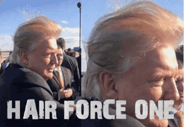 Trump Donald Trump GIF