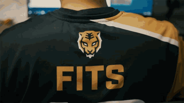 a person wearing a fits jersey with a tiger on it
