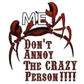 Crazy Person Dont Annoy The Crazy Person GIF - Crazy Person Dont Annoy The Crazy Person Crab GIFs