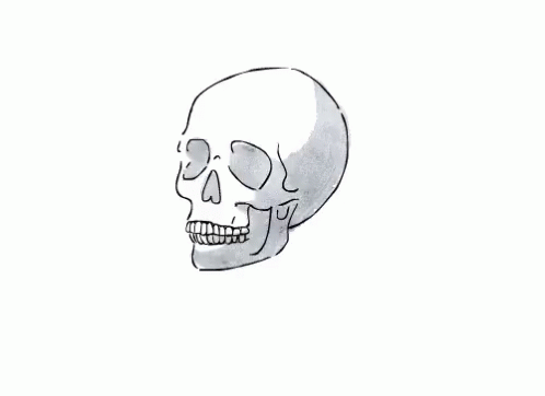 Skull Animations GIF - Skull Animations GIFs