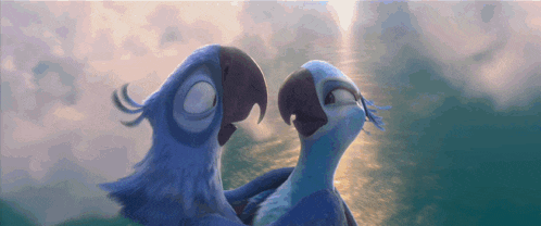 two blue birds are looking at each other