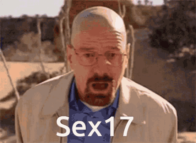a bald man with glasses and a beard says sex 17