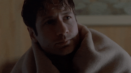I Don'T Remember That Mulder GIF - I Don'T Remember That Mulder David Duchovny GIFs