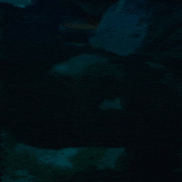 a close up of a person 's face in the dark with a blue background .