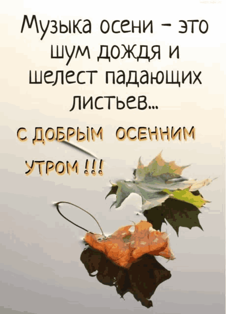 a russian greeting card with a picture of leaves on it