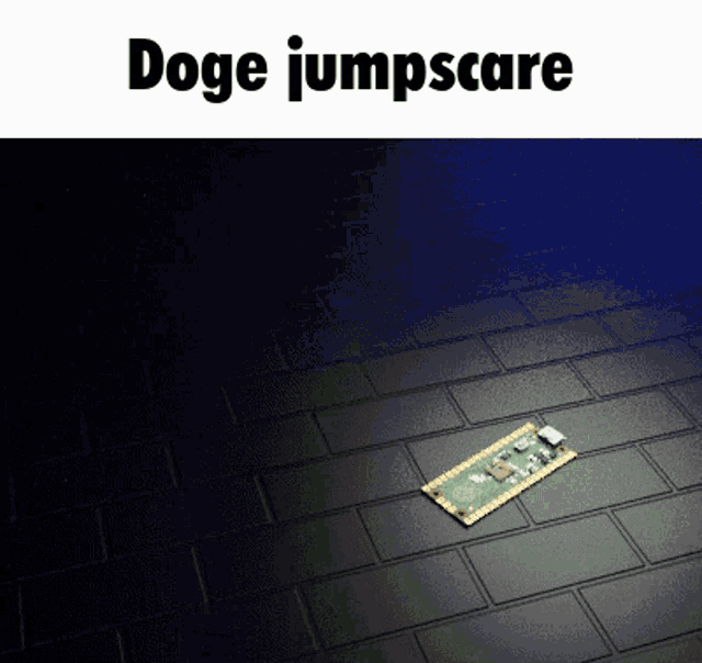 Doge Jumpscare GIF - Doge Jumpscare GIFs
