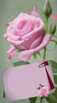 a pink rose is sitting next to a white card with a tag attached to it .