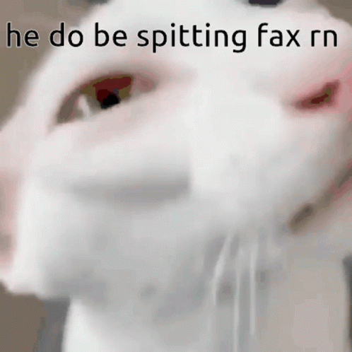 Cat Spitting GIF - Cat Spitting Fax GIFs