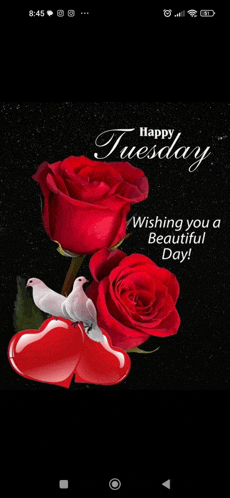 a happy tuesday wishing you a beautiful day with red roses and white doves .