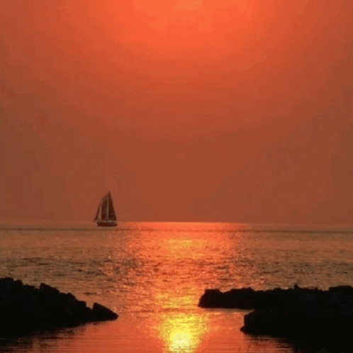 Red Reflection GIF - Red Reflection Ocean GIFs