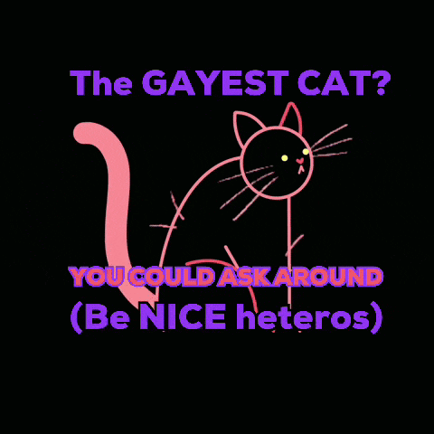 a drawing of a cat with the words the gayest cat you could ask around be nice heteros