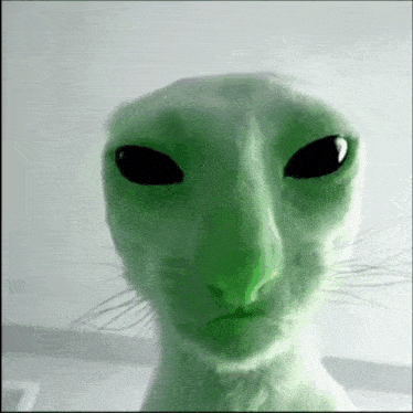 Alien Cat Green GIF - Alien Cat Alien Cat GIFs
