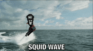 Squid Squid Squad GIF - Squid Squid Squad Squid Wave GIFs
