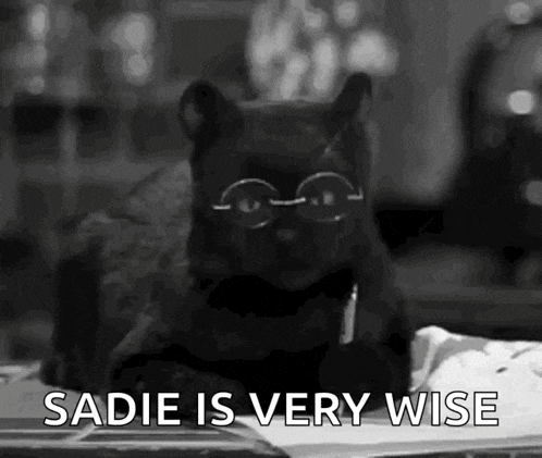 a black and white photo of a cat wearing glasses with the words sadie is very wise below it
