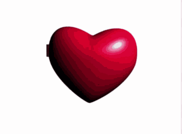 a heart shaped mirror with the words " bingus bucks my beloved " on it