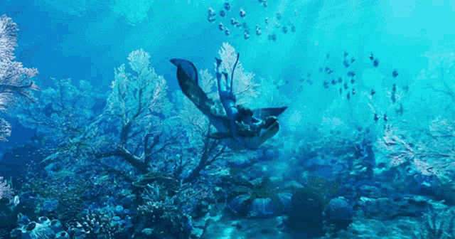 a person is swimming in the ocean surrounded by corals and fish