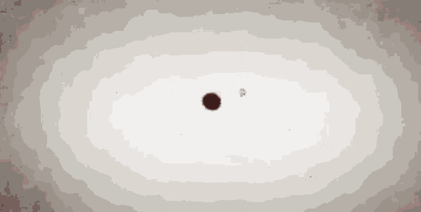 a red circle is floating in the air on a gray background .