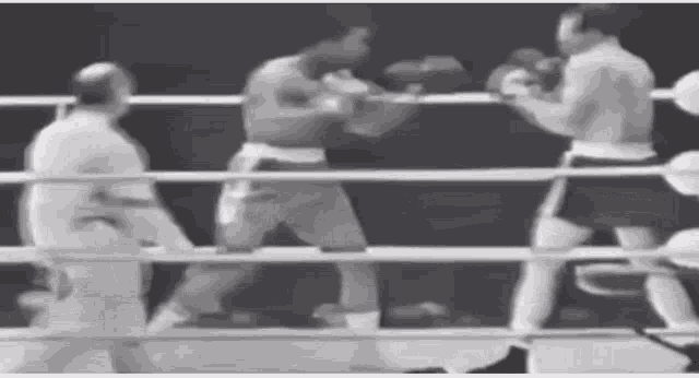Muhammed Ali GIF - Muhammed Ali Boxing GIFs
