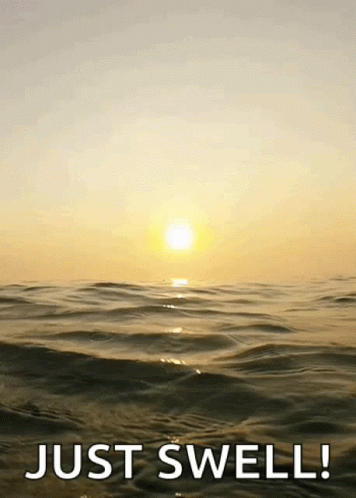 In The GIF - In The Water GIFs