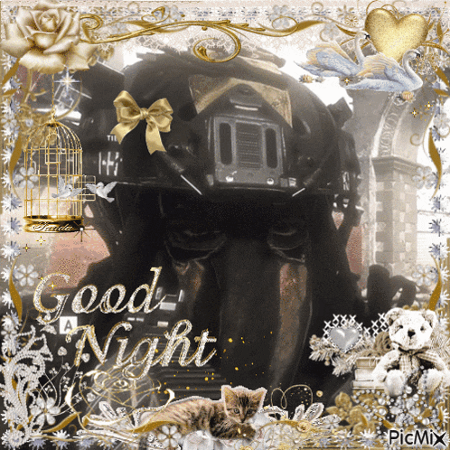 a picture of a cat and a helmet with the words good night written on it