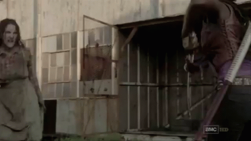 Michdnsnansna GIF - The Walking Dead Michonne Danai Gurira GIFs